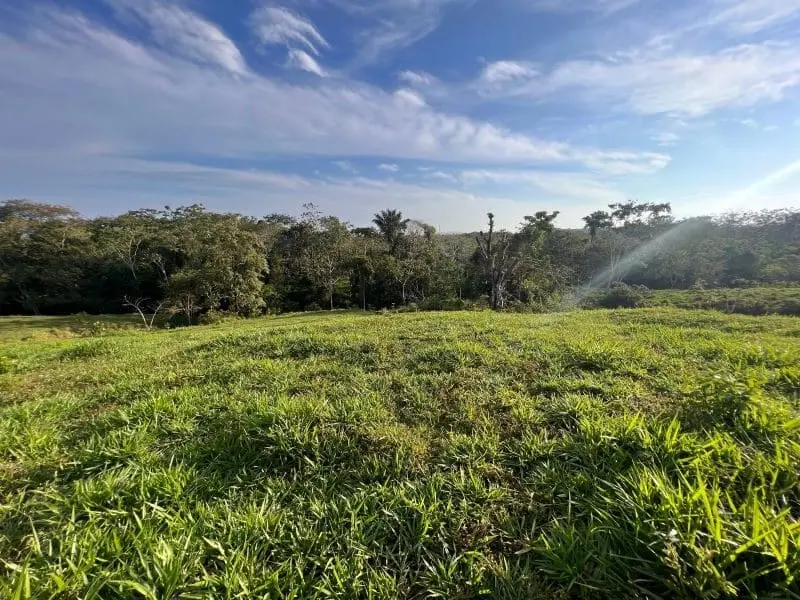 Montezuma Scenic Lots photo 7